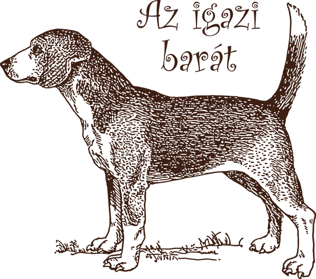 Beagle
