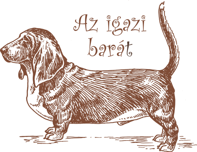 Busset hound