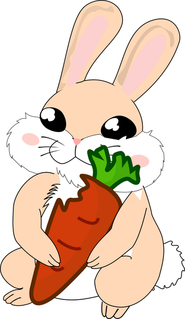 Nyúl