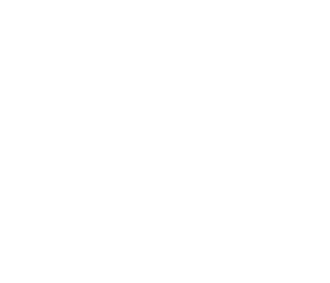 Főnök