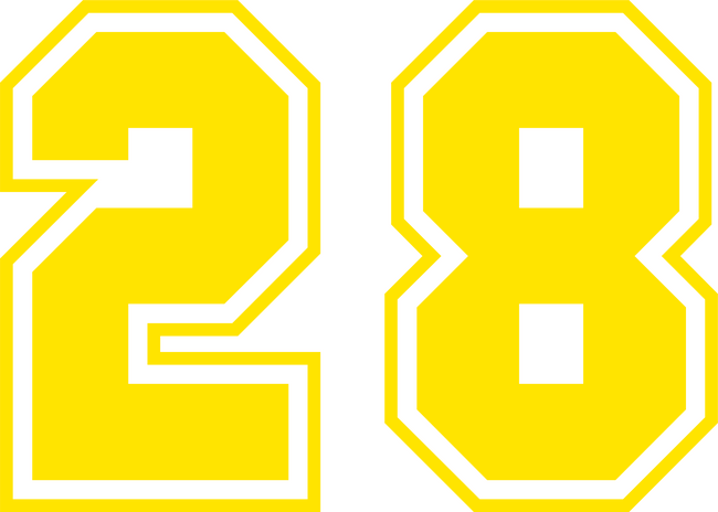 28
