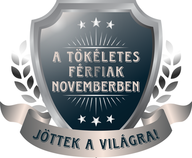 A tökéletes férfiak november