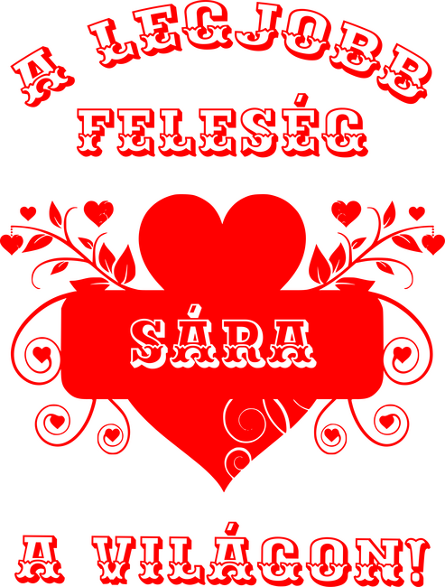 A legjobb feleség Sára