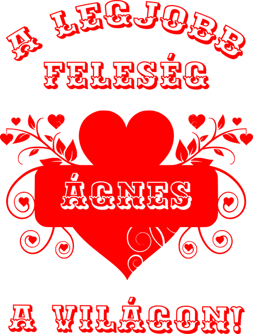 A legjobb feleség Ágnes