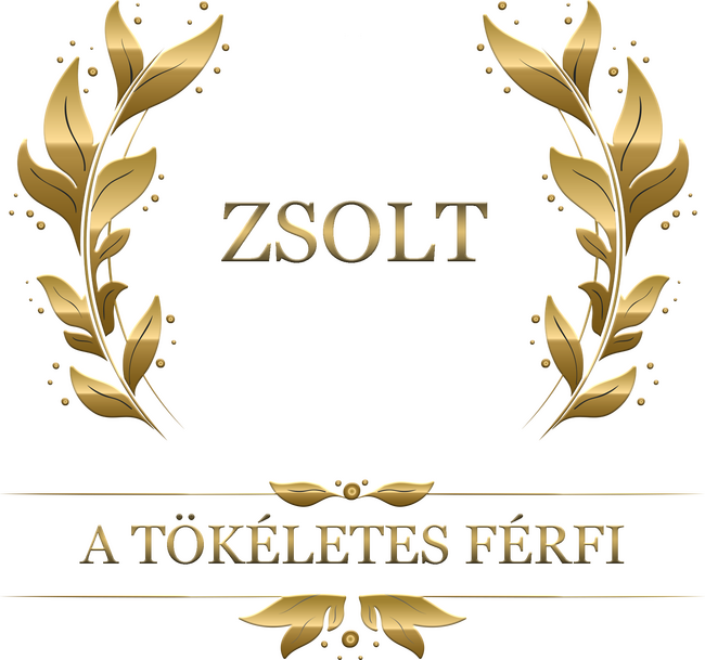 Zsolt a tökéletes férfi