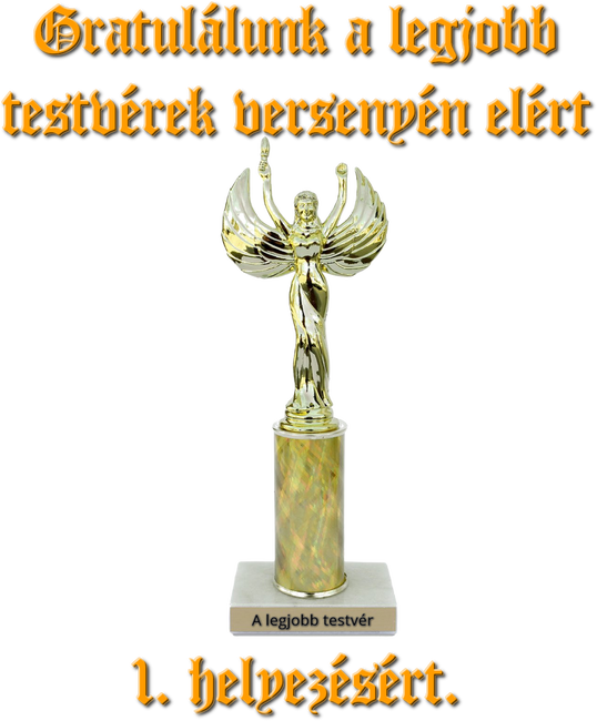 Legjobb lánytestvér