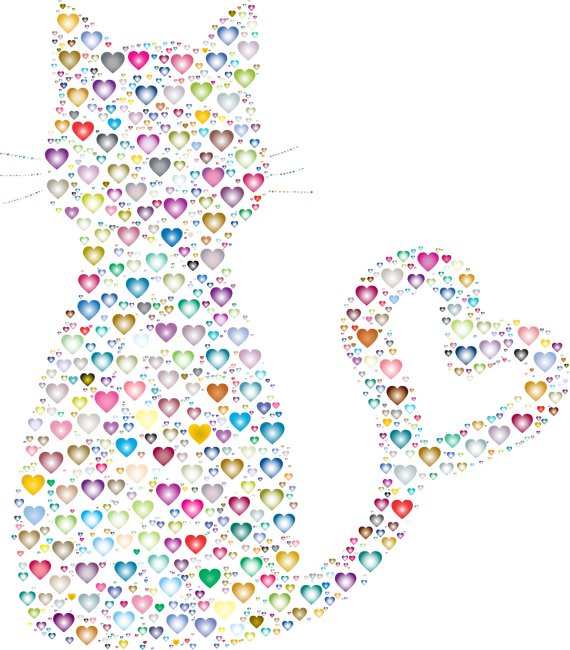 Colorful Heart Cat 2