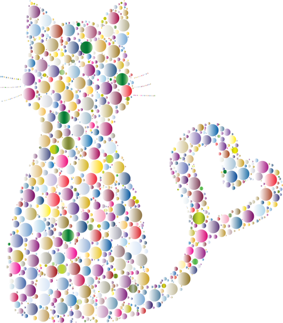 Colorful Cat 5