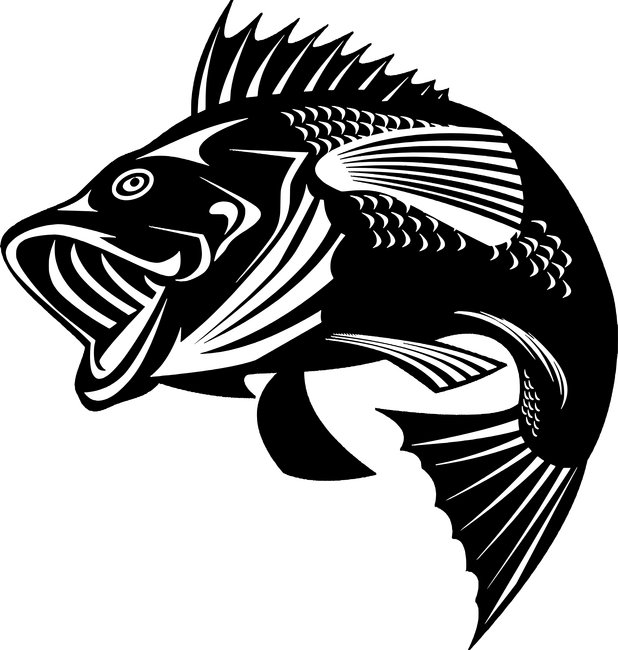 Hal színezhető