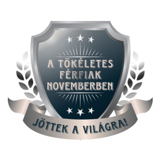 A tökéletes férfiak november