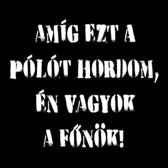 Főnök